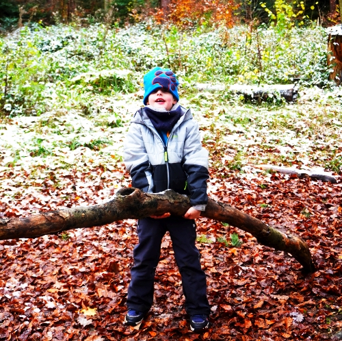 Waldtag: Die Klasse 1b entdeckt Tiere im Winter
