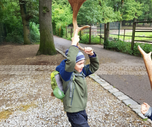 Tierpark_06