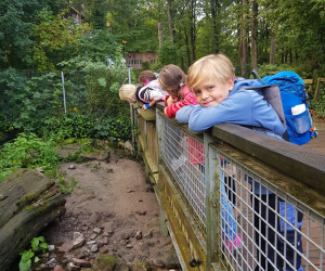 Tierpark_223