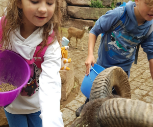 Tierpark_233