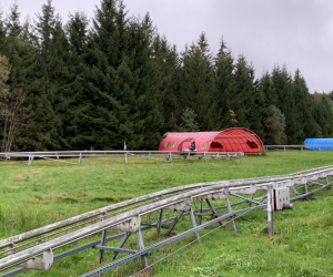 Herrenwies_07