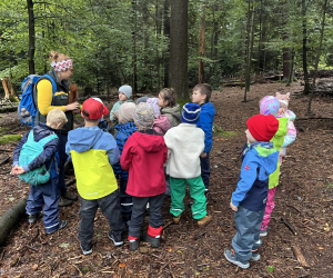 Waldtag1a25_05