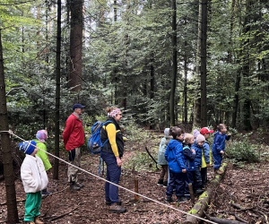 Waldtag1a25_06