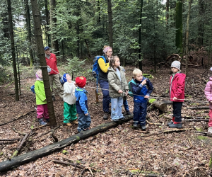 Waldtag1a25_08
