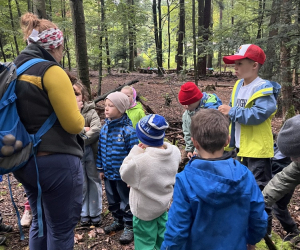 Waldtag1a25_11