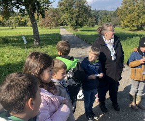 Streuobstwiese_001