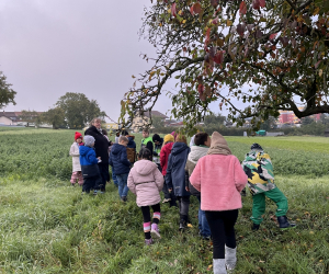 Streuobstwiese_011