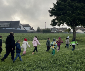 Streuobstwiese_031