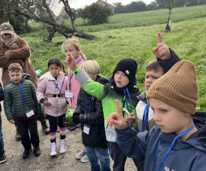 Streuobstwiese_041