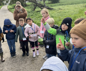 Streuobstwiese_046