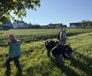 Streuobstwiese_061