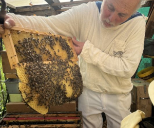 2026_Bienen_21